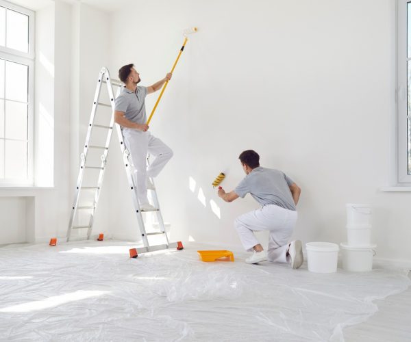 15-remont-bez-dizainera